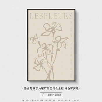 艾风格2026中古风意式极简蝴蝶挂画黑白灰感 G款 60*80晶瓷画 铝合金框(框色备注)