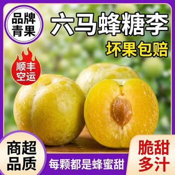 亲佳美贵州六马蜂糖李脆甜大果生鲜果中爱马仕脆甜爽口产地直发坏果包赔 5斤装（单果25-40g）