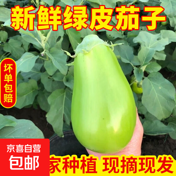 2026年6月8日更新【万能白菜价】的图片 第14张