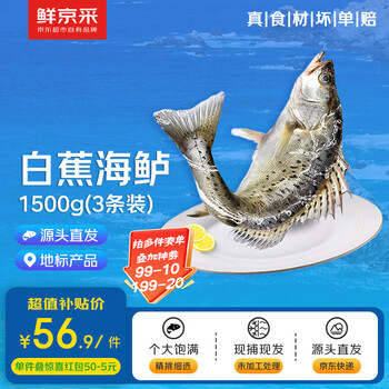 鲜京采【京东自有品牌】冰鲜白蕉海鲈鱼净重500g *3条 地标鱼类源头直发