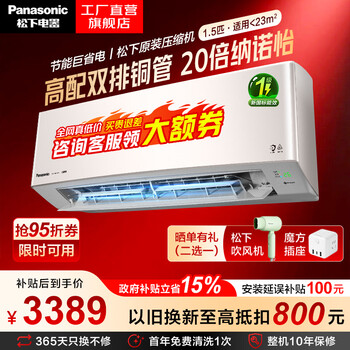 松下（Panasonic）空调挂机国家补贴纳诺怡除菌新一级能效节能直流变频冷暖内外机双排铜管原装压缩机壁挂式空调  LG系列 一级能效 1.5匹 LG13KQ10N（金色）