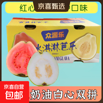 京喜加正宗广东产红心芭乐水果新鲜包邮低糖软糯鸡屎果巴乐胭脂红番石榴 草莓红心芭乐（2个装）