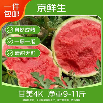 京鲜生甘美4k西瓜 1-2粒装 净重9-11斤 生鲜水果 源头直发 包邮