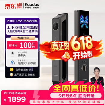 凯迪仕（KAADAS）P300 Pro Max双摄智能门锁掌指静脉识别密码锁猫眼智能锁防盗门锁 P300 Pro Max双摄