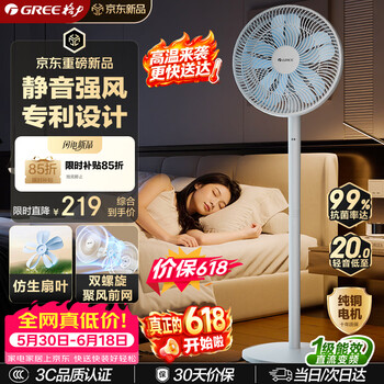 格力（GREE）【花精灵Se】一级能效直流变频轻音节能遥控电风扇卧室落地扇静音家用风扇