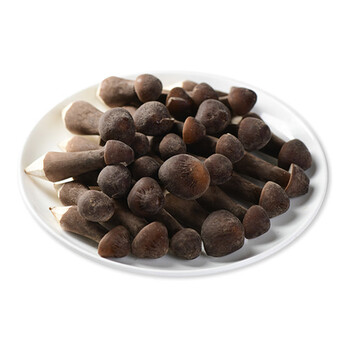 菌香园 黑皮鸡枞菌 250g 新鲜蔬菜 火锅食材