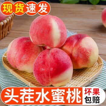 泰汇吃 山西特产新鲜水蜜桃 4.5斤装 京东快递直达