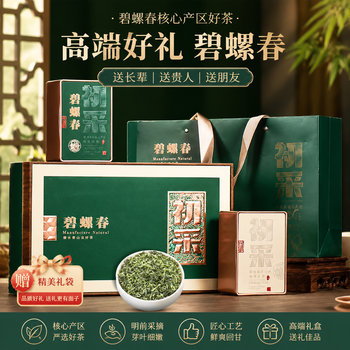 闽大师碧螺春 绿茶初采新茶礼盒250g送丈人 茶叶高端送领导礼品送长辈