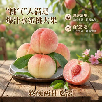 城南堡花山西春雪水蜜桃新鲜水果毛桃现摘非催熟孕妇脆甜桃子包邮 水蜜桃净果4.5斤（果径60-65mm）