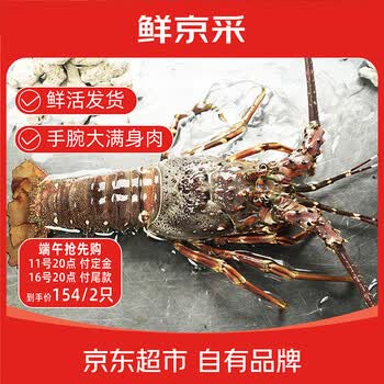 鲜京采 【预售】 鲜活越南小青龙 净重200-300g/只*2 保鲜到家 端午家宴