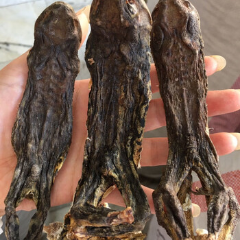 北京同仁堂原料蛤蟆个 中药材 干货 蝉蜍干 襜蜍打粉 蛤蟆衣 蛤蟆皮