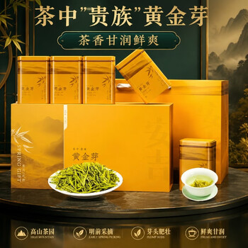 源聞白茶安吉白茶绿茶茶叶黄金芽2026年新茶明前特级奶白茶送礼礼盒装 2026新茶高档礼盒装200克*1盒