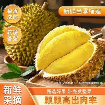 鲁禧泰国进口金枕榴莲整果【多地次日达】带壳老树果报恩鲜果巴掌榴莲 精选金枕榴莲8-10斤【2-4个果】