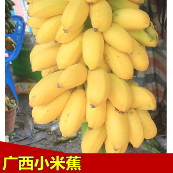 京东特价版APP活动合集的图片 第26张