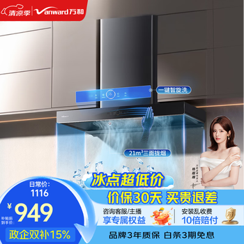 万和（Vanward）【经典欧式WX536】21m³大吸力家用顶吸抽油烟机一键自清洗 挥手控制一���能效家电补贴上门安装 【单烟机】21立方吸力 500Pa风压 WX536