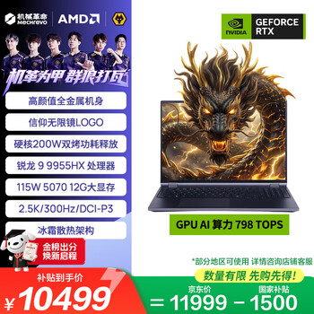 机械革命苍龙16 pro 国家补贴 16英寸游戏本笔记本电脑(R9-9955HX 16G 1T RTX5070 12G大显存 2.5K)灰