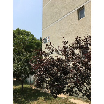 世界名园A区13号楼2单元102