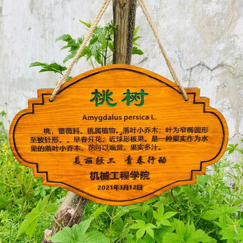植物介绍牌 实木树牌挂牌户外幼儿园介绍牌认养简介植物悬挂式标识牌