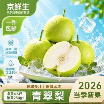京鲜生 安徽砀山青翠梨 4.5斤装 新鲜多汁皮薄肉嫩青梨