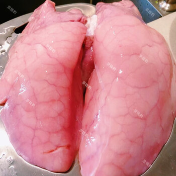 京钱豹现杀新鲜猪肺子农家散养笨猪肺猪内脏生猪肺土猪猪肺生鲜1个