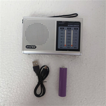 微型收音机德国全波段2023新款高端长辈专用小型迷你卫星 银色标配