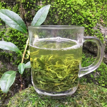 高山綠茶炒青松陽香茶500g散裝濃香耐泡雨前