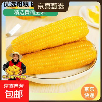 新鲜黄糯玉米真空包装速食玉米低脂粗粮代餐杂粮早餐包邮 福利专项 4棒 200g起/棒