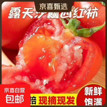 京喜自营正宗沙瓤西红柿番茄新鲜生吃炒菜吃农家自种蔬菜酸甜 2斤 带箱2斤 中果特惠装【沙瓤西红柿】