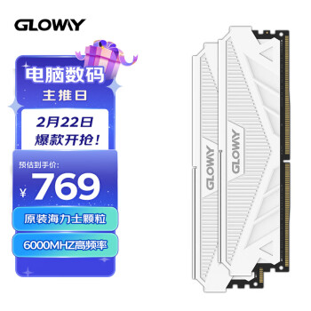 光威（Gloway）32GB(16Gx2)套装 DDR5 6000 台式机内存 天策系列-皓月白