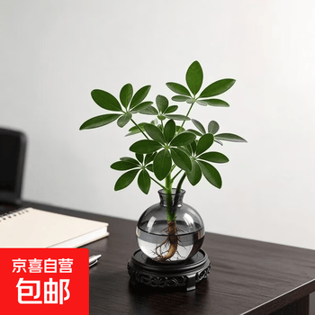 2026年10月14日更新【万能白菜价】的图片 第10张