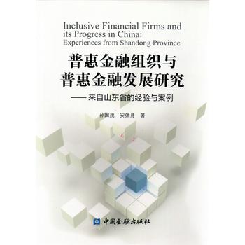 普惠金融组织与普惠金融发展研究