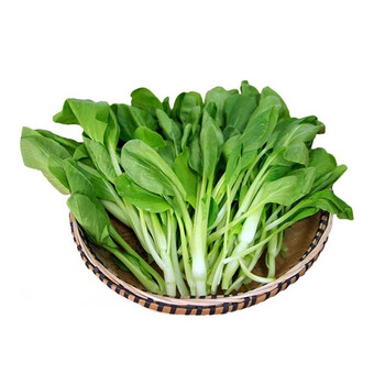 油菜籽鸡毛菜菜籽种春季种子小油菜种孑蔬菜籽青菜白菜籽上海100克装