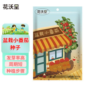 健康美食必备!花沃里盆栽小番茄种子价格走势和好评分析