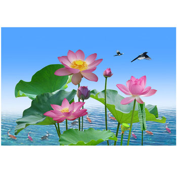 荷花贴画 60x80厘米【图片 价格 品牌 报价】-京东