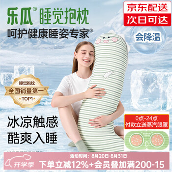 乐瓜睡觉抱枕夏季女生夹腿凉感抱枕长条靠枕床上靠垫等身靠背垫可拆洗 加大号凉皮款（锦氨） 萌萌恐龙