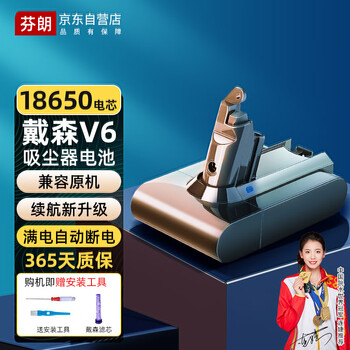 芬朗 适用戴森Dyson电池V6吸尘器电池配件 充电锂电池替代品长续航不虚标