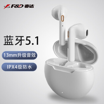 奋达（F&D）E2 无线蓝牙耳机半入耳通话降噪耳机 TWS耳机游戏运动 双耳通话续航