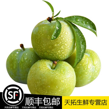 正宗重庆新鲜水果现货脱骨四川当季5斤无骨李离核李子