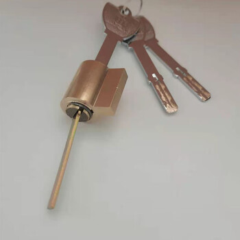 皇鼎锁芯智能锁roalwand锁芯指纹密码电子门锁锁芯锁头皇鼎指能锁芯