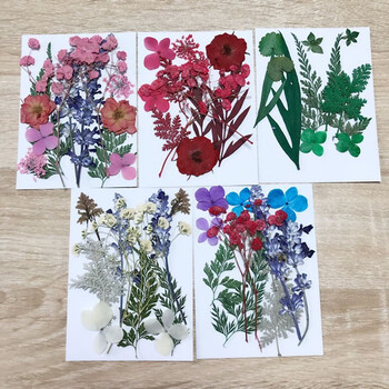 干花材料包押花包儿童手工植物标本diy滴胶押花压花礼品花材包 混色款 12朵 图片价格品牌报价 京东