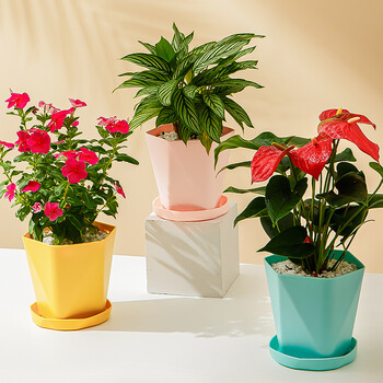 健康环保，价格亲民！一洲简约园艺家用暮光塑料花盆销量新宠