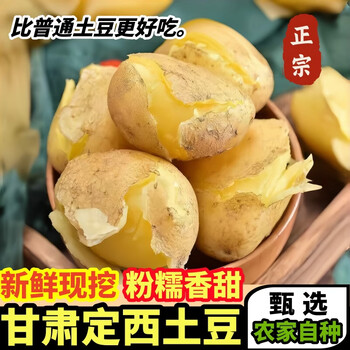 黄六爷正宗甘肃定西黄心土豆新鲜现挖高原马铃薯沙地麻皮洋芋产地直发 精选中果5斤（美味乐享） 单果200-300g
