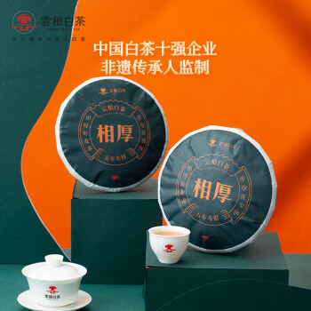 雲根白茶价格走势和健康价值大揭秘!