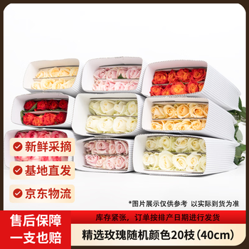 2026年10月11日更新【万能白菜价】的图片 第29张