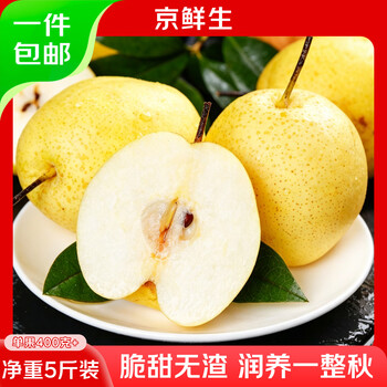 京鲜生河北雪花梨 净重5斤 单果400g+ 新鲜雪梨 生鲜水果 源头直发
