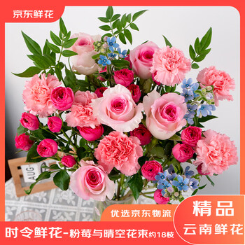 京东鲜花粉莓与晴空鲜花花束玫瑰康乃馨15-19枝源头直发
