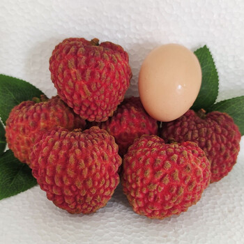 宓蝶*【顺丰直达】现摘海南火山岩口甜岩新鲜香甜多汁超大荔枝紫娘喜