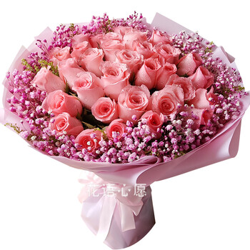 花语心愿粉玫瑰花束鲜花速递同城配送七夕情人节生日礼物送女友北京