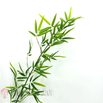 绿植仿真竹子中式室内造景假绿植物盆栽景观毛竹隔断挡墙仿生道具装饰