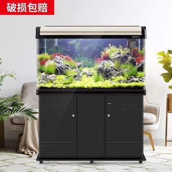 博宇 Boyu 鱼缸水族箱热弯玻璃40宽上过滤免换水家用客厅龙鱼缸加底滤桶养水草金鱼 过滤ea 1香槟色鱼缸不带柜 1 40 60 图片价格品牌报价 京东